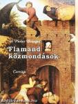 Flamand közmondások