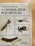 A csodálatos rovarvilág