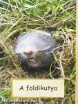 A földikutya