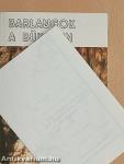 Barlangok a Bükkben