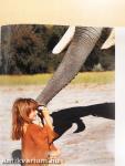 Tippi Afrikában