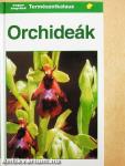 Orchideák