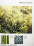 Garten-Ideen
