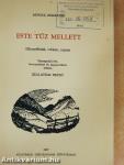 Este tűz mellett