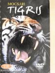 Mocsári tigris