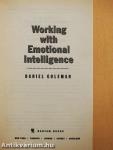 Working with Emotional Intelligence