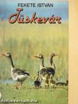 Tüskevár