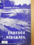 Ébredés kirakata