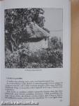 Irodalom 8.