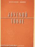 Jövendő tükre