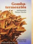 Gombatermesztés