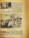 Az Est hármaskönyve 1937.