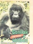 Gorillák a ködben