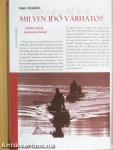 Az újság könyve 2004