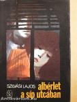 Albérlet a Síp utcában