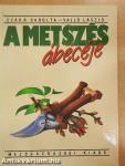 A metszés ábécéje