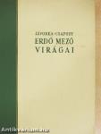 Erdő mező virágai