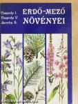 Erdő-mező növényei