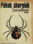 Pókok, skorpiók