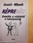 Képregén