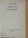 Elzúgó pillanat