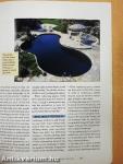 Swimming Pools & Spas