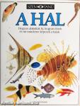 A hal 