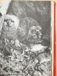 Lányok Évkönyve 1973