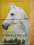 A tökéletes ló