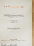 A csillagos ég