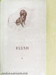 Flush