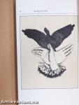 Das Handbuch