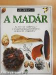 A madár
