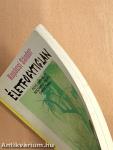 Életfogytiglan