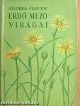 Erdő mező virágai