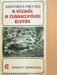 A vízből a szárazföldi életbe