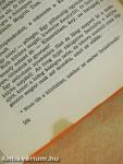 A Nyugat peremén