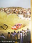 World Rally Championship 2000