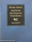 Magyar irodalomtörténet