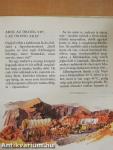 A gyalogkakukk sivatagja