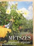Metszés