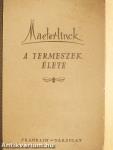 A termeszek élete