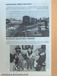 Honismeret 1993/5.