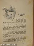 Magyar mesekönyv