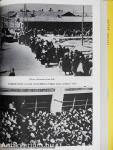 A magyar holocaust I-II.