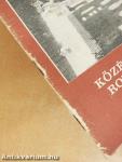 Középkori romkert