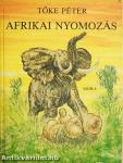 Afrikai nyomozás