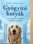 Gyógyító kutyák