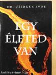Egy életed van