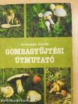 Gombagyűjtési útmutató